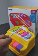 Kids Xylophone with Piano Keys